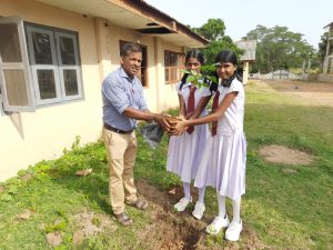 Read more about the article 40 saplings planted in Mullaitivu District